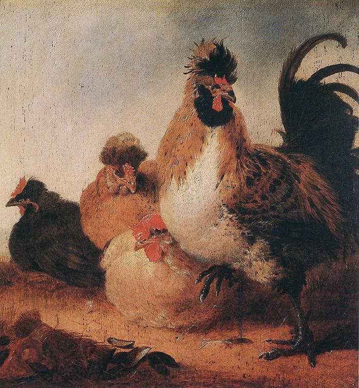 CUYP, Aelbert Rooster and Hens dfg Norge oil painting art